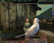 EQ2_000009A.jpg