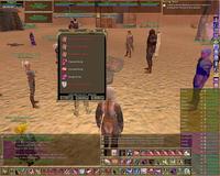 EverQuest2_2005-05-23_22-49-08-71.jpg